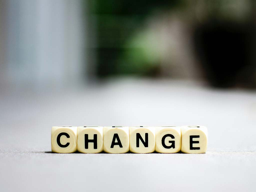 Autumn Transition: Preparing for the Winter Ahead